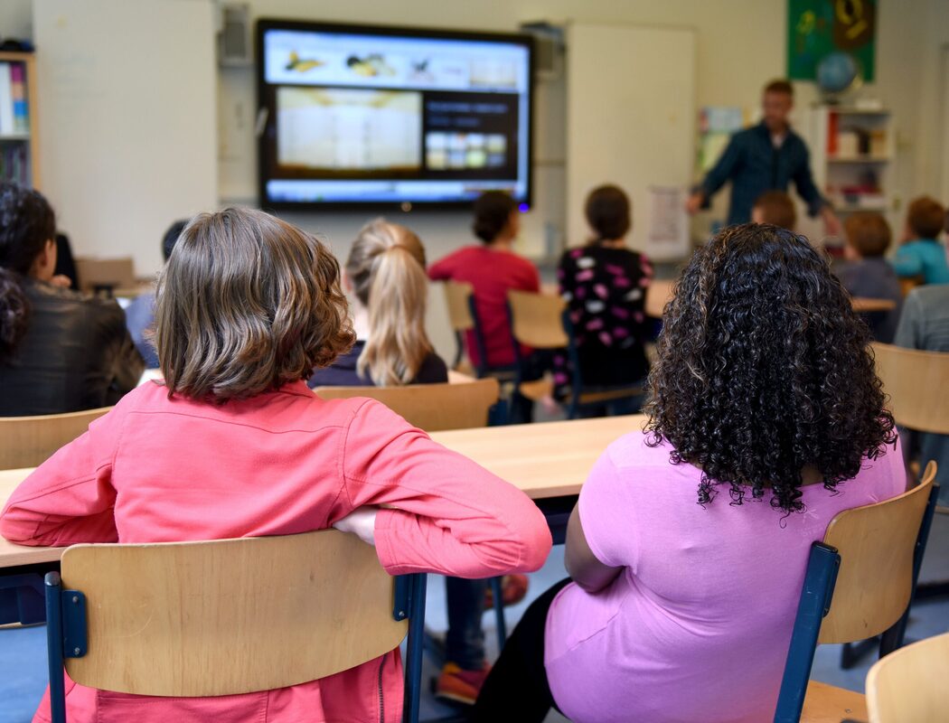 pexels-arthur-krijgsman-8141591