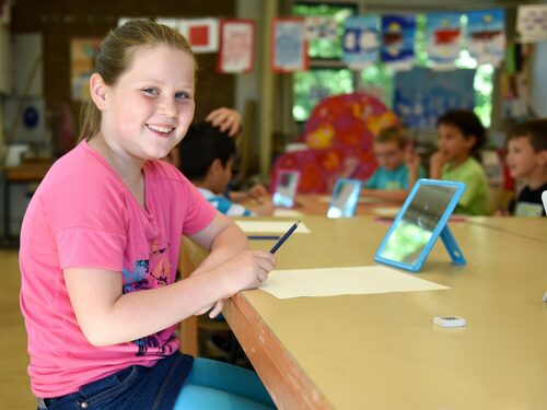 pexels-arthur-krijgsman-4019759